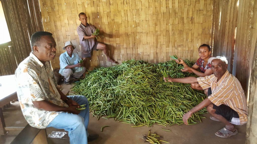 Cook's Vanilla Market Report July 2016: Vanilla Bean Prices