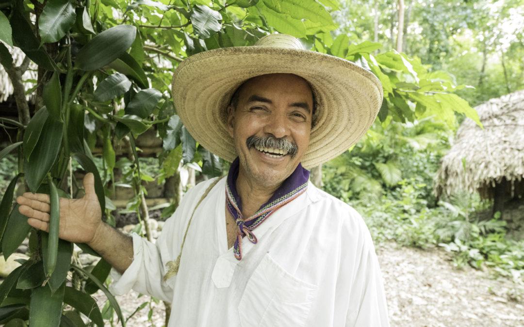 Mexican Vanilla Farmer