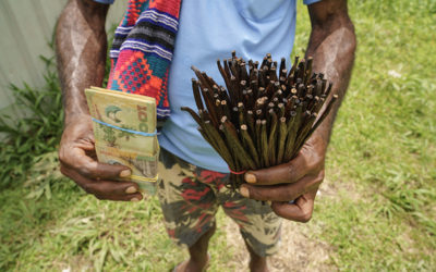 Papua New Guinea Vanilla Market Report-March 2019