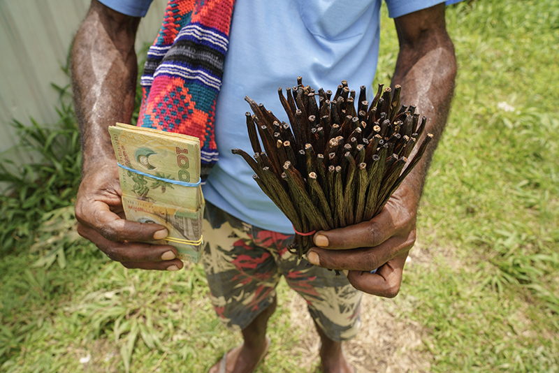 Papua New Guinea Vanilla Market Report