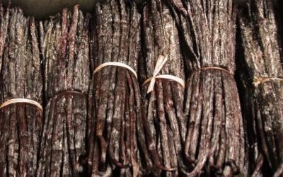 What is the Difference Between Pure and Imitation Vanilla Extract?