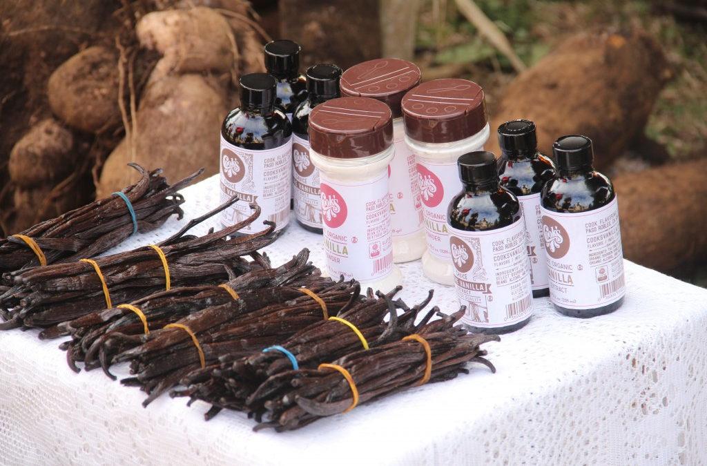 Which Vanilla Is Right For Me
