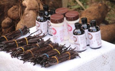 Which Vanilla Is Right For Me?