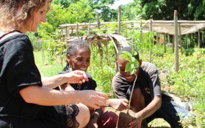 Vanilla Market Report from Madagascar